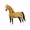 Realistic Horse Art - Horses, Arabian, Appaloosa