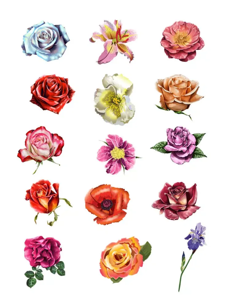 صور Roses and Flowers - Flower Art - Love, Friendship iPad 