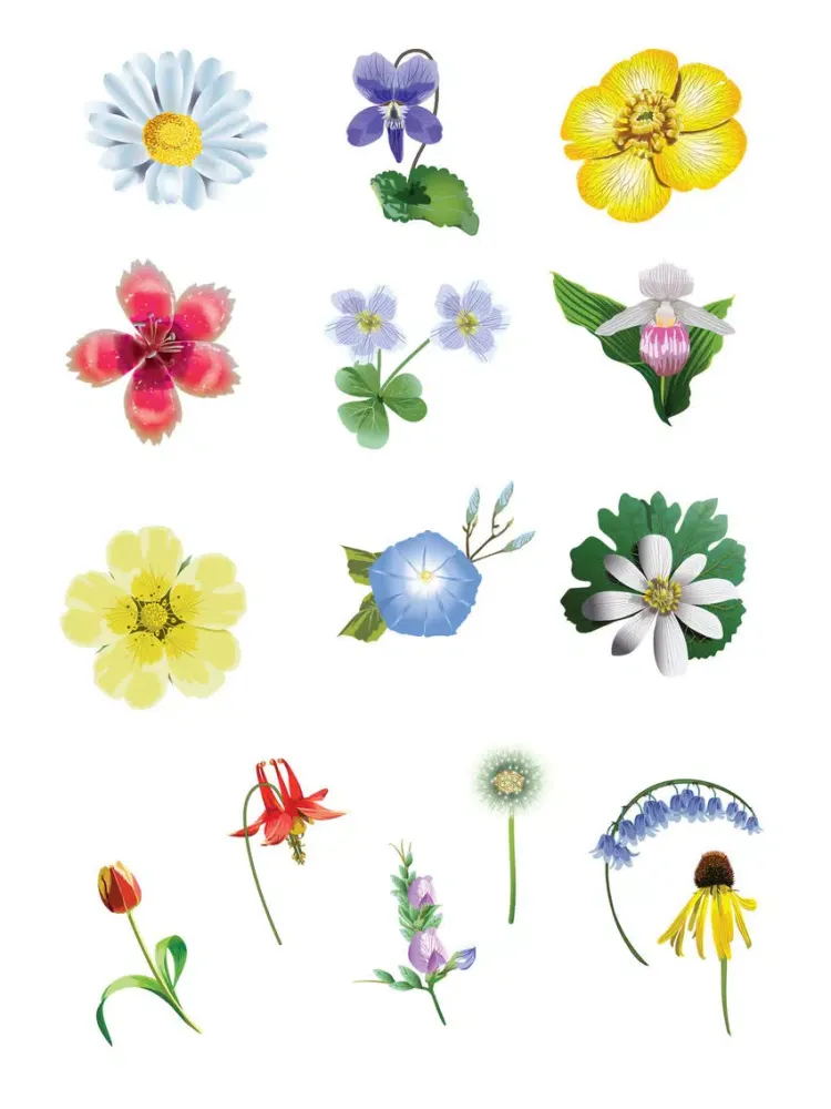 صور Roses and Flowers - Flower Art - Love, Friendship iPad 