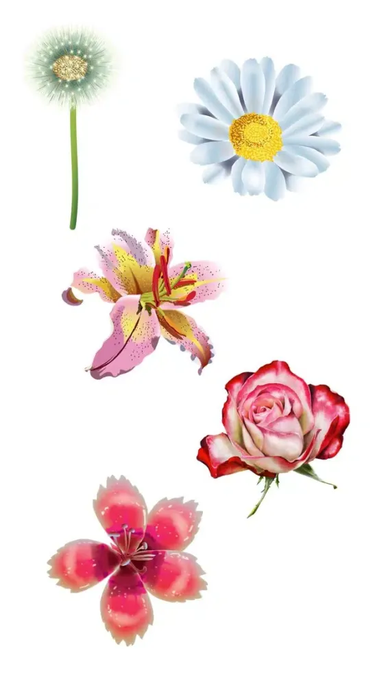 صور Roses and Flowers - Flower Art - Love, Friendship