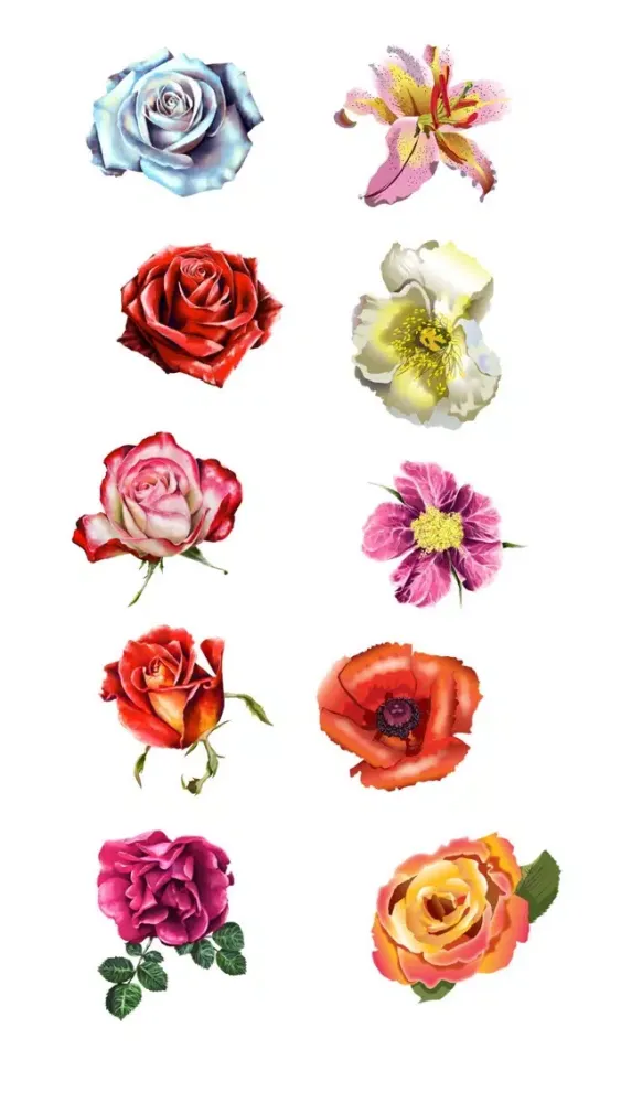 صور Roses and Flowers - Flower Art - Love, Friendship