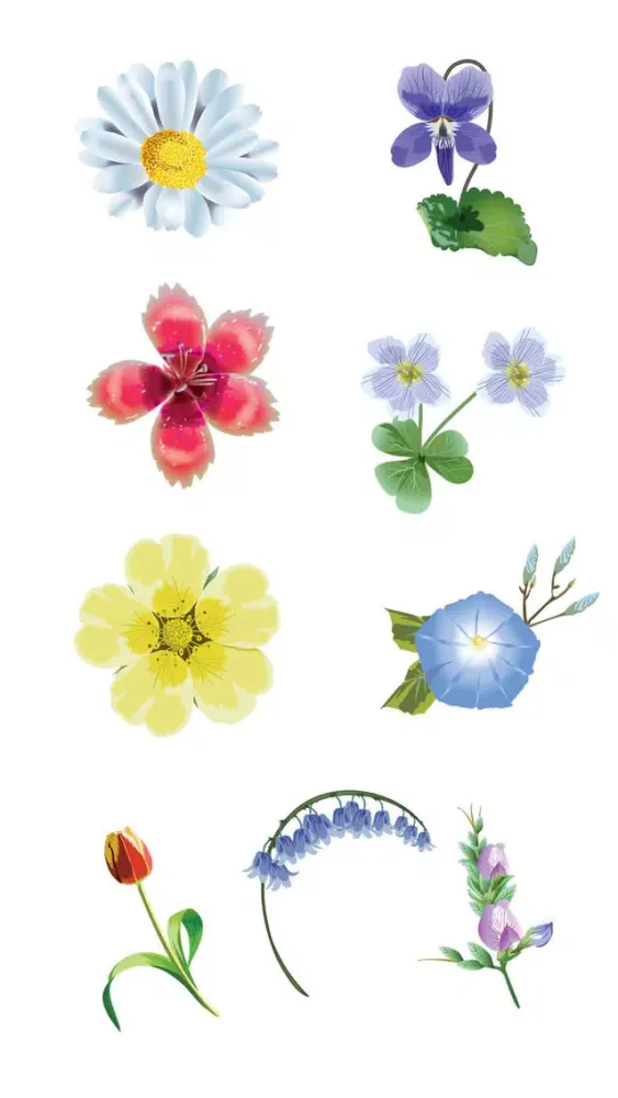 صور Roses and Flowers - Flower Art - Love, Friendship
