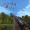 Wild Duck Hunting