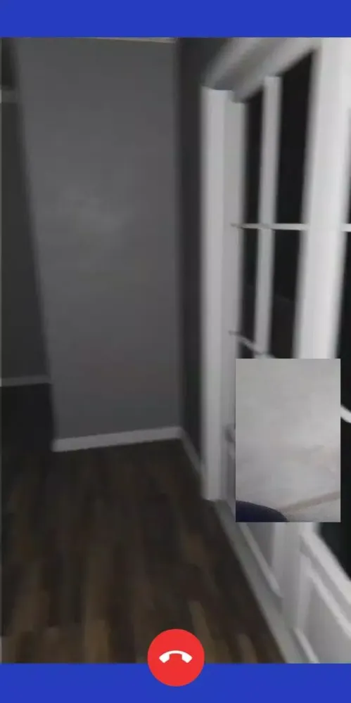 Capturas de pantalla de momo fake video call