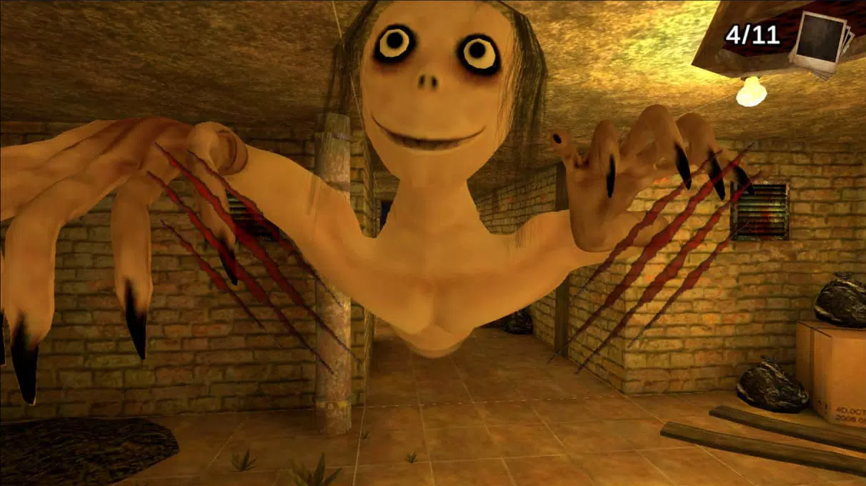 Mother Bird Scary 3d Game的应用截图1