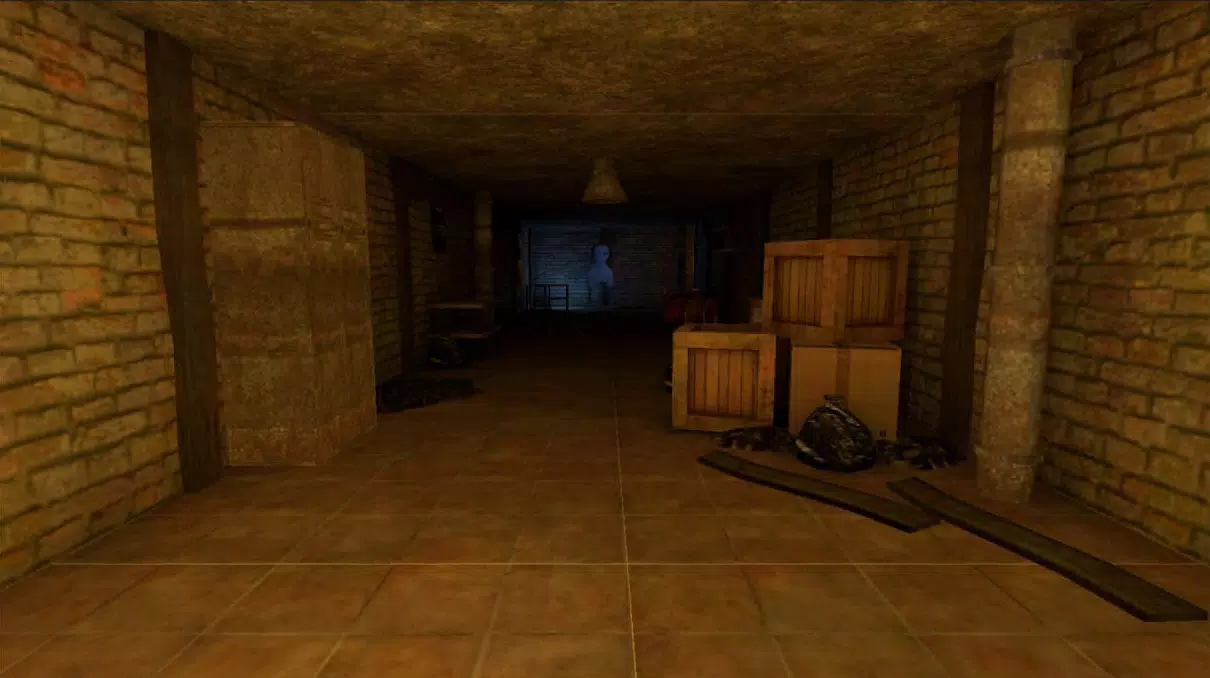 Mother Bird Scary 3d Game的应用截图8