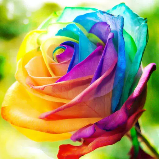 Flower Wallpapers Amazing Backgrounds & Stickers Flower Wallpapers Amazing Backgrounds & Stickers