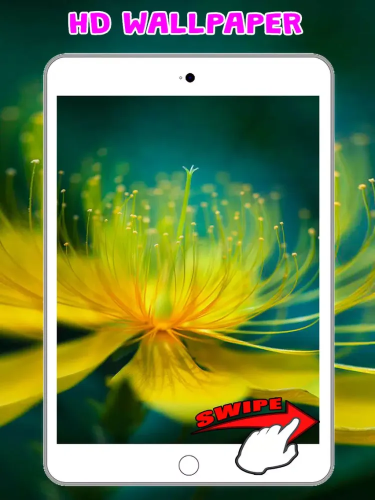 Скриншоты Flower Wallpapers Amazing Backgrounds & Stickers iPad 