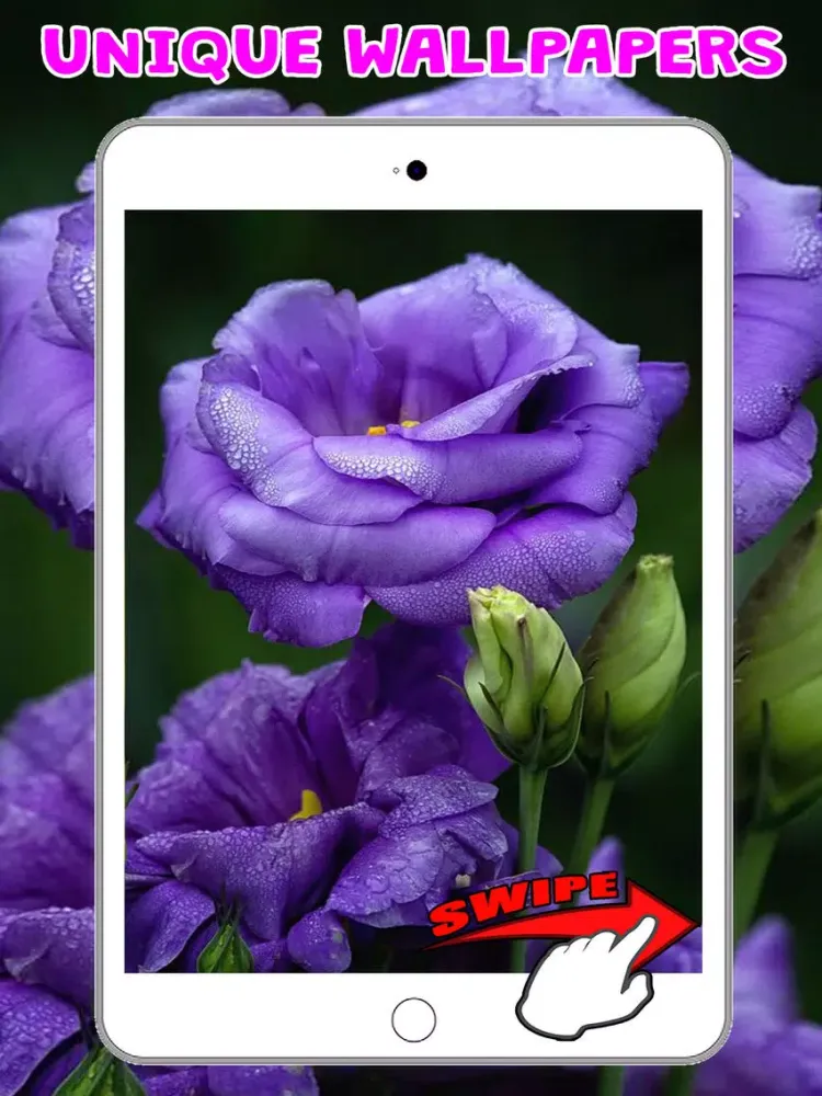 Скриншоты Flower Wallpapers Amazing Backgrounds & Stickers iPad 