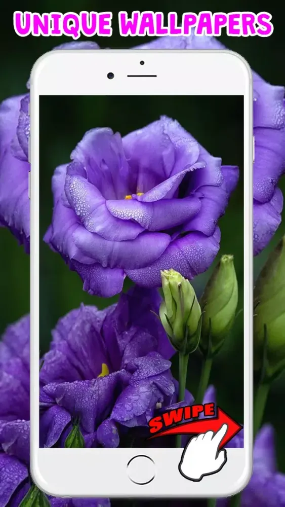 Скриншоты Flower Wallpapers Amazing Backgrounds & Stickers