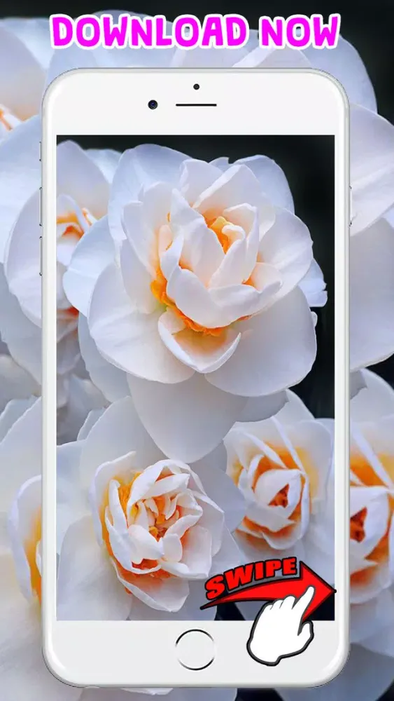 Скриншоты Flower Wallpapers Amazing Backgrounds & Stickers