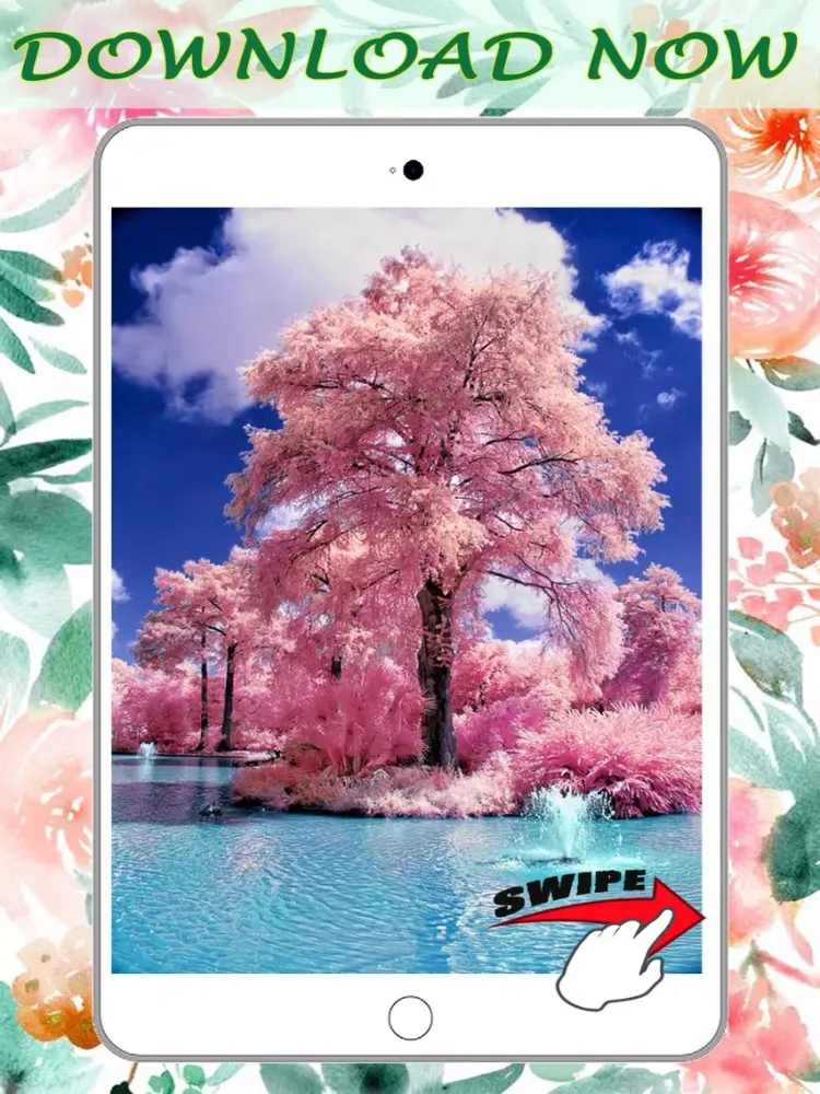 Tangkapan layar Amazing Nature Wallpapers Background Sticker Free iPad 