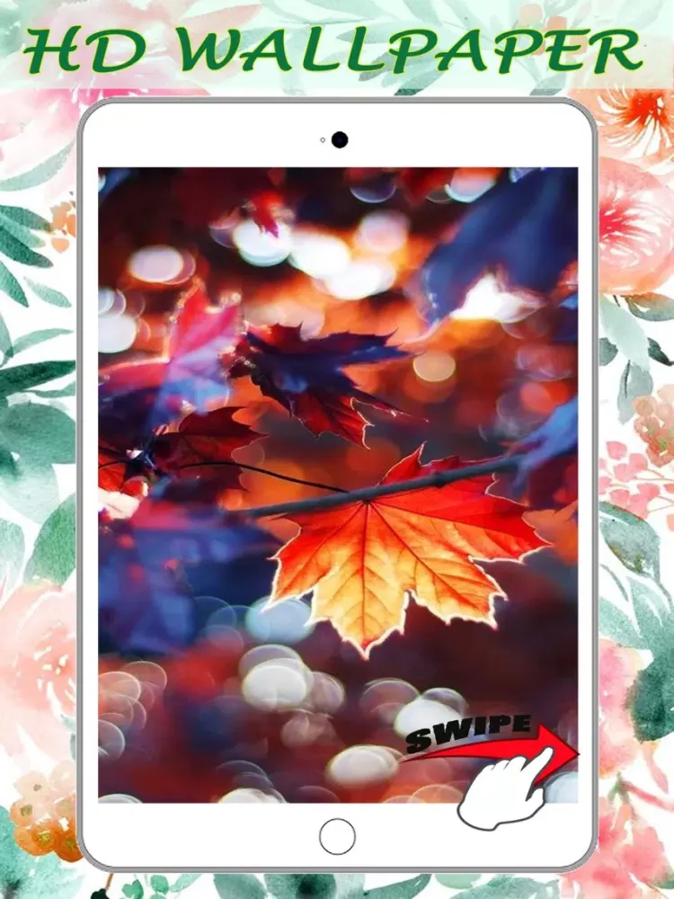 Tangkapan layar Amazing Nature Wallpapers Background Sticker Free iPad 