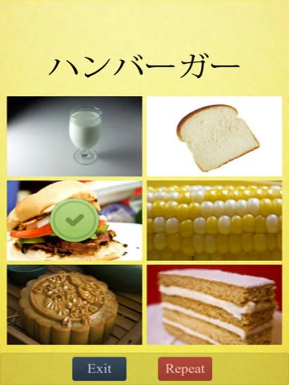 Learn Japanese Easily iPad  Ekran Görüntüleri