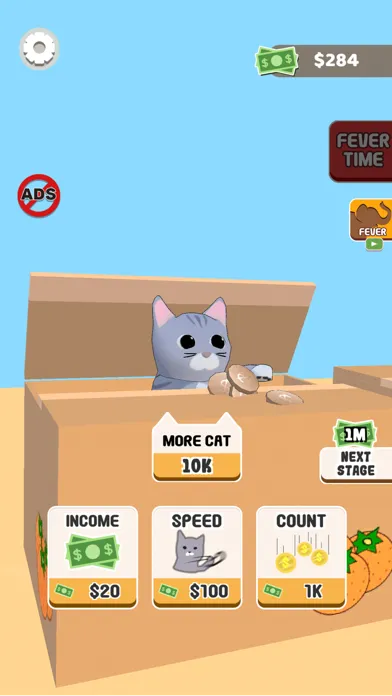 تصاویر Cat Box Fever
