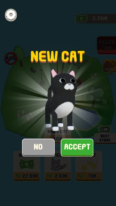 تصاویر Cat Box Fever