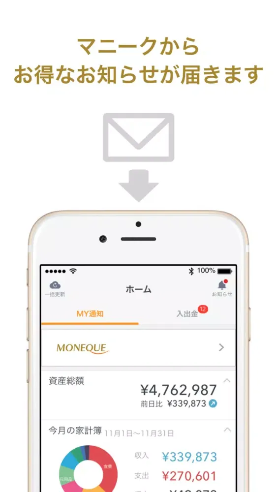 Zrzuty ekranu マネーフォワード for マニーク