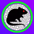Mouse Rover