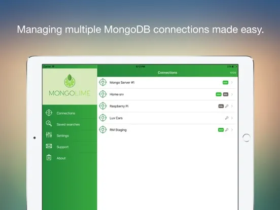 MongoLime - manage databases iPad  스크린샷