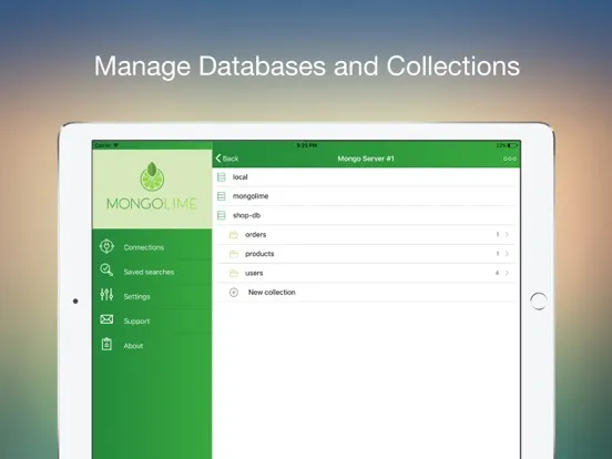 MongoLime - manage databases iPad  스크린샷