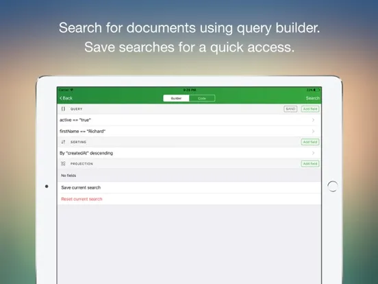 MongoLime - manage databases iPad  스크린샷