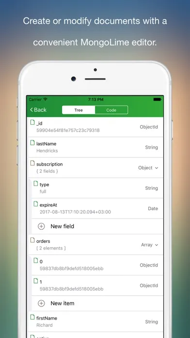 MongoLime - manage databases 스크린샷