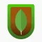 MongoDB Ally