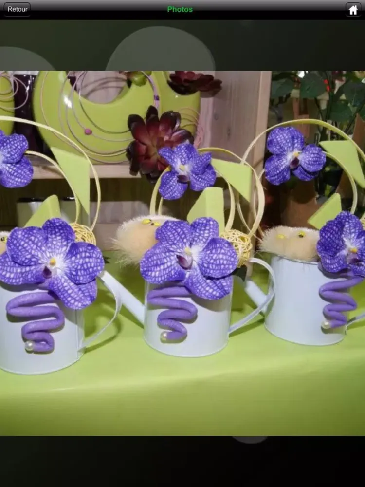 Screenshot di Jo Lafleur iPad