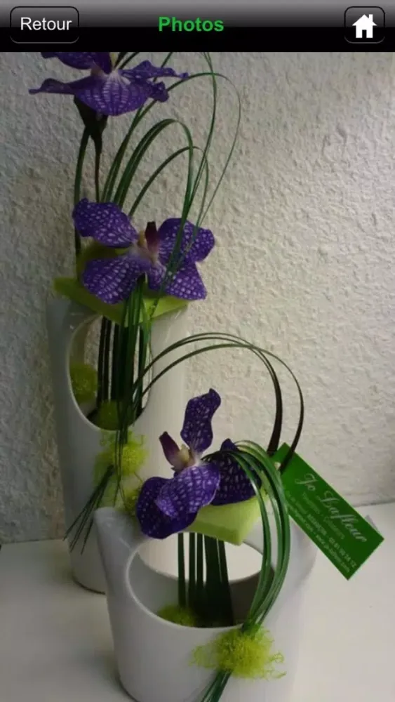 Screenshot di Jo Lafleur