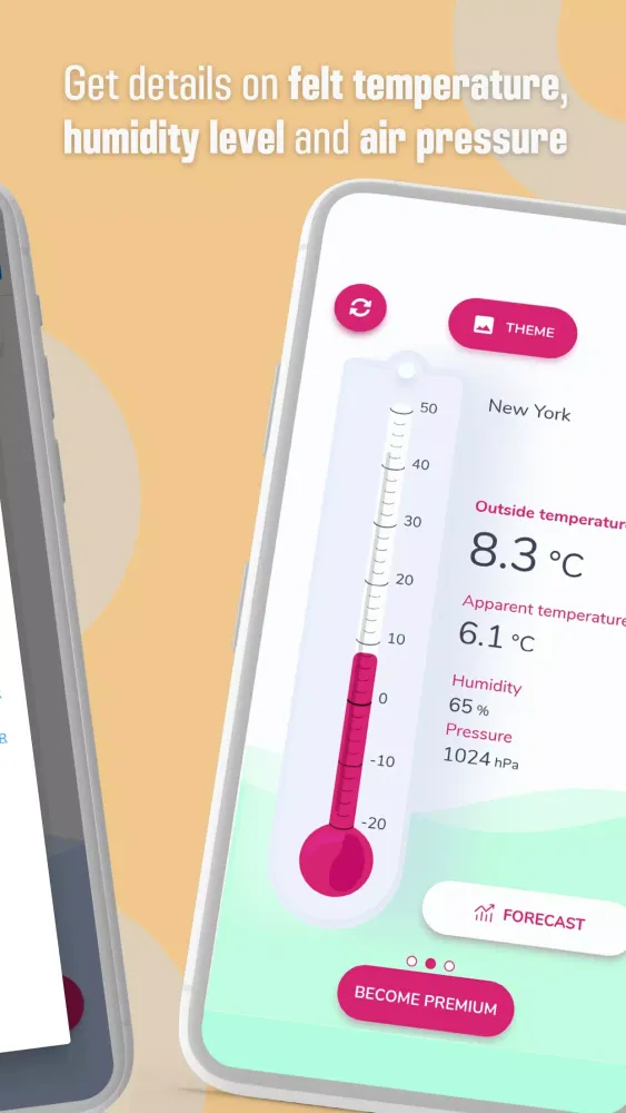 Capturas de pantalla de Indoor/Outdoor Thermometer
