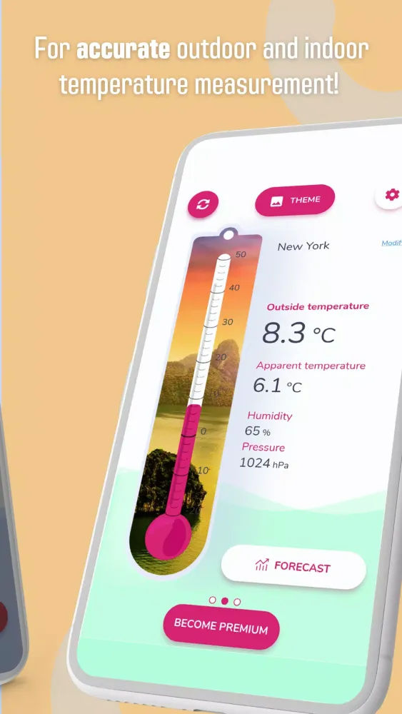 Capturas de pantalla de Indoor/Outdoor Thermometer