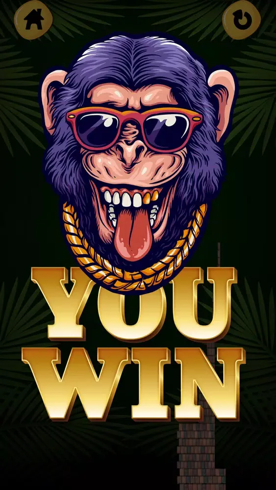 تصاویر Lucky Mr.Monkey Plus