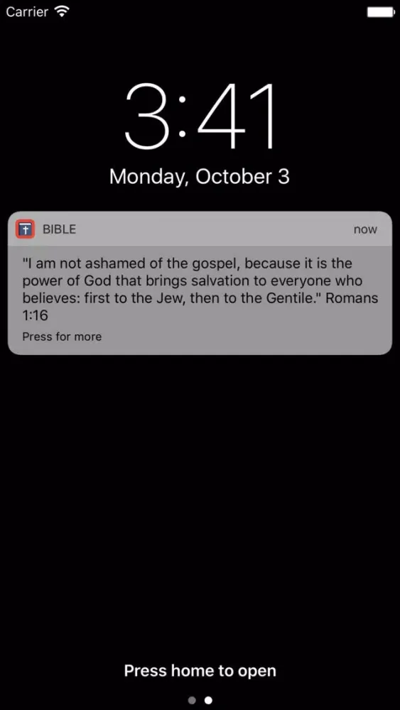 Bible Verses and Reminders Ekran Görüntüleri