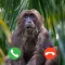 Call From Monkey Prank