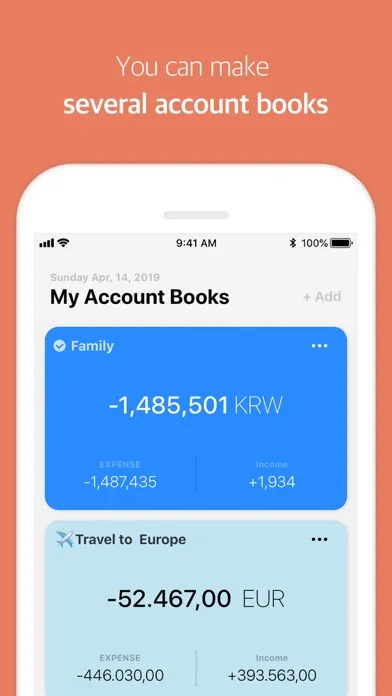 Capturas de tela do Tag AccountBook - Manage money