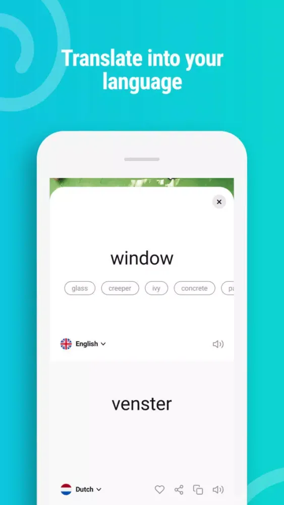 Скриншоты Snap & Translate - Snaply