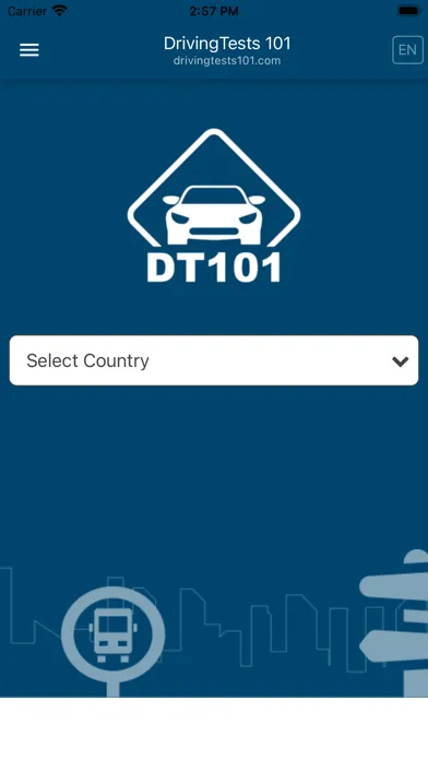 Driving Tests 101 スクリーンショット