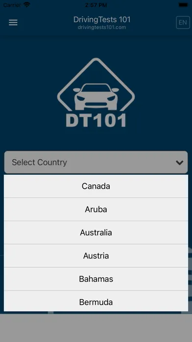 Driving Tests 101 スクリーンショット