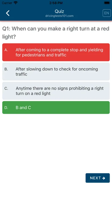 Driving Tests 101 スクリーンショット