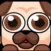 Flappy puppy