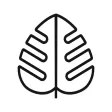 Monstera