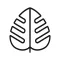 Monstera