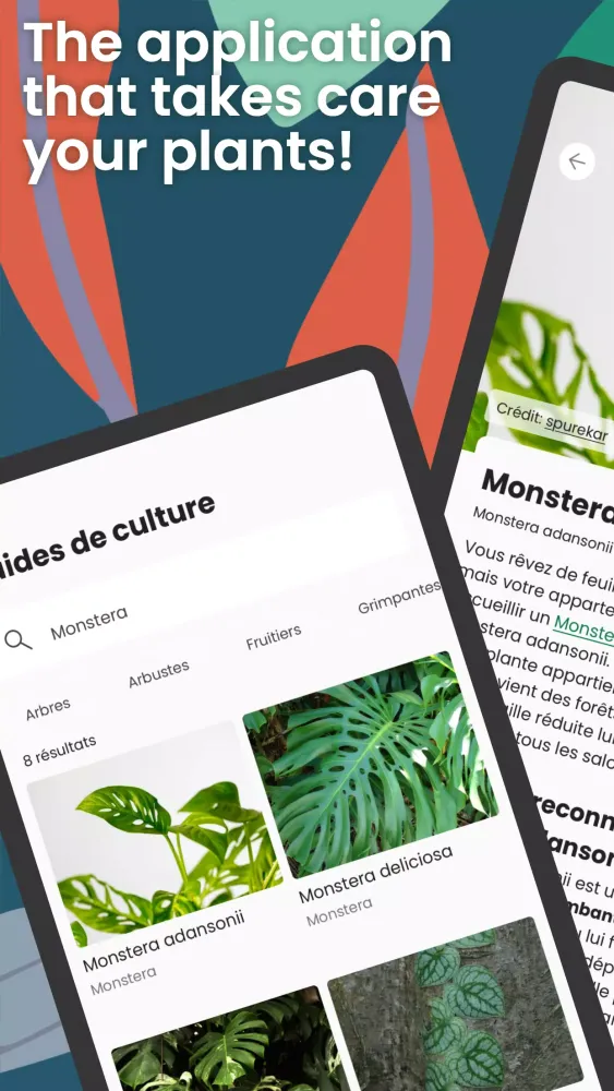 Capturas de pantalla de Monstera