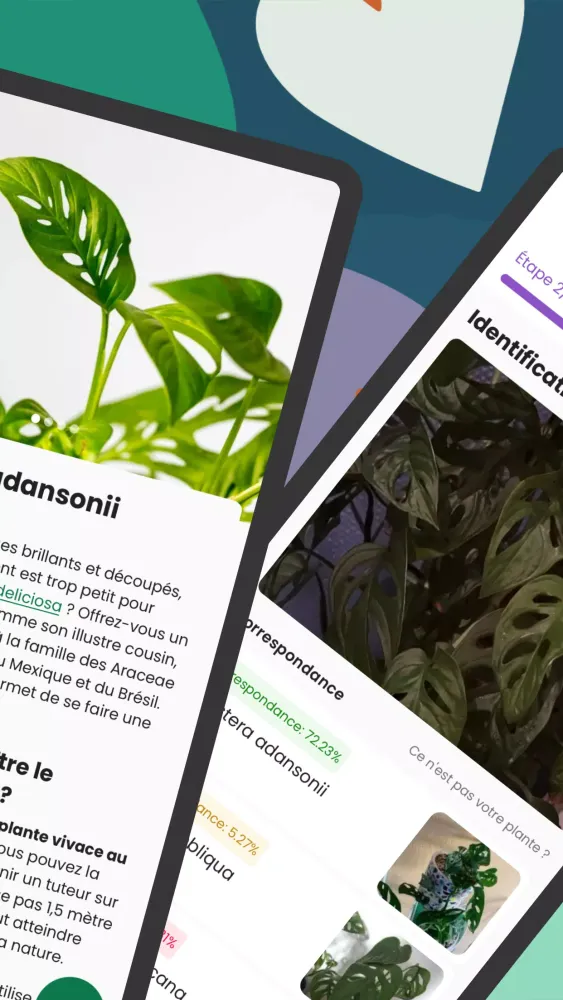 Capturas de pantalla de Monstera