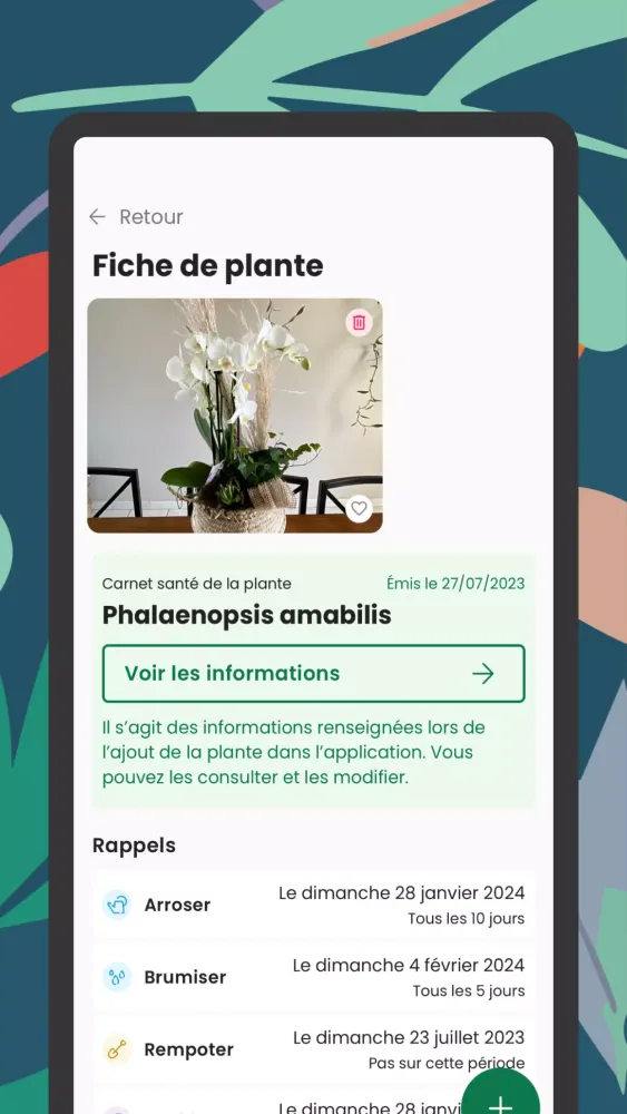 Capturas de pantalla de Monstera