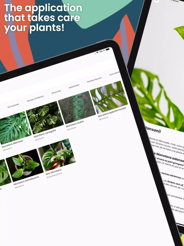 Capturas de pantalla de Monstera