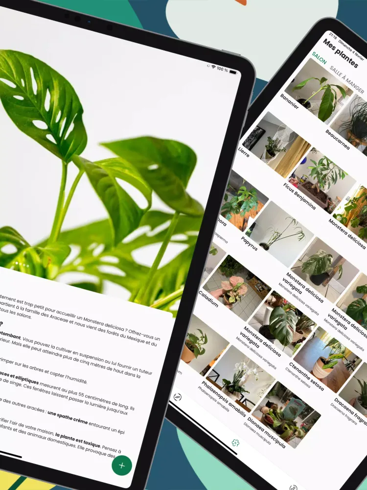 Capturas de pantalla de Monstera