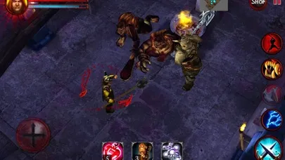 Capturas de tela do Dungeon and Demons Offline RPG