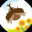 Summer With Me And Beetles