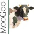 MooGoo 慕爾果